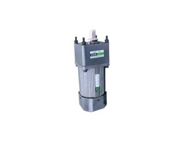 60W90W120W感應(yīng)式電動(dòng)機(jī)