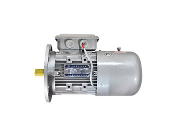 YEJ2B5型電磁制動電動機